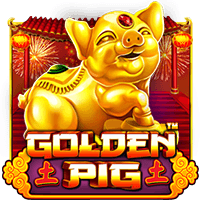 pp image